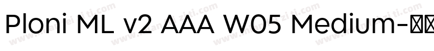 Ploni ML v2 AAA W05 Medium字体转换